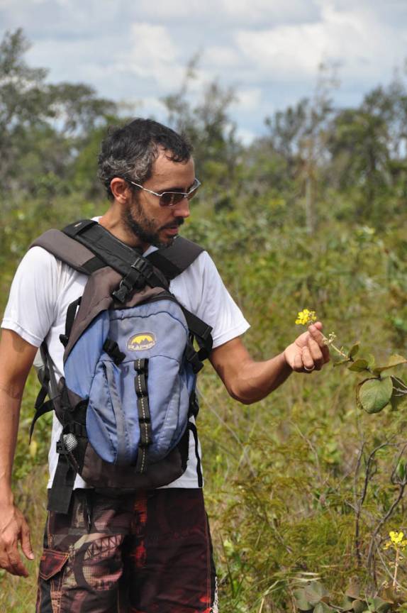 Flôr de cerrado no alto da Serra do Espírito Santo, no Jalapão - TO